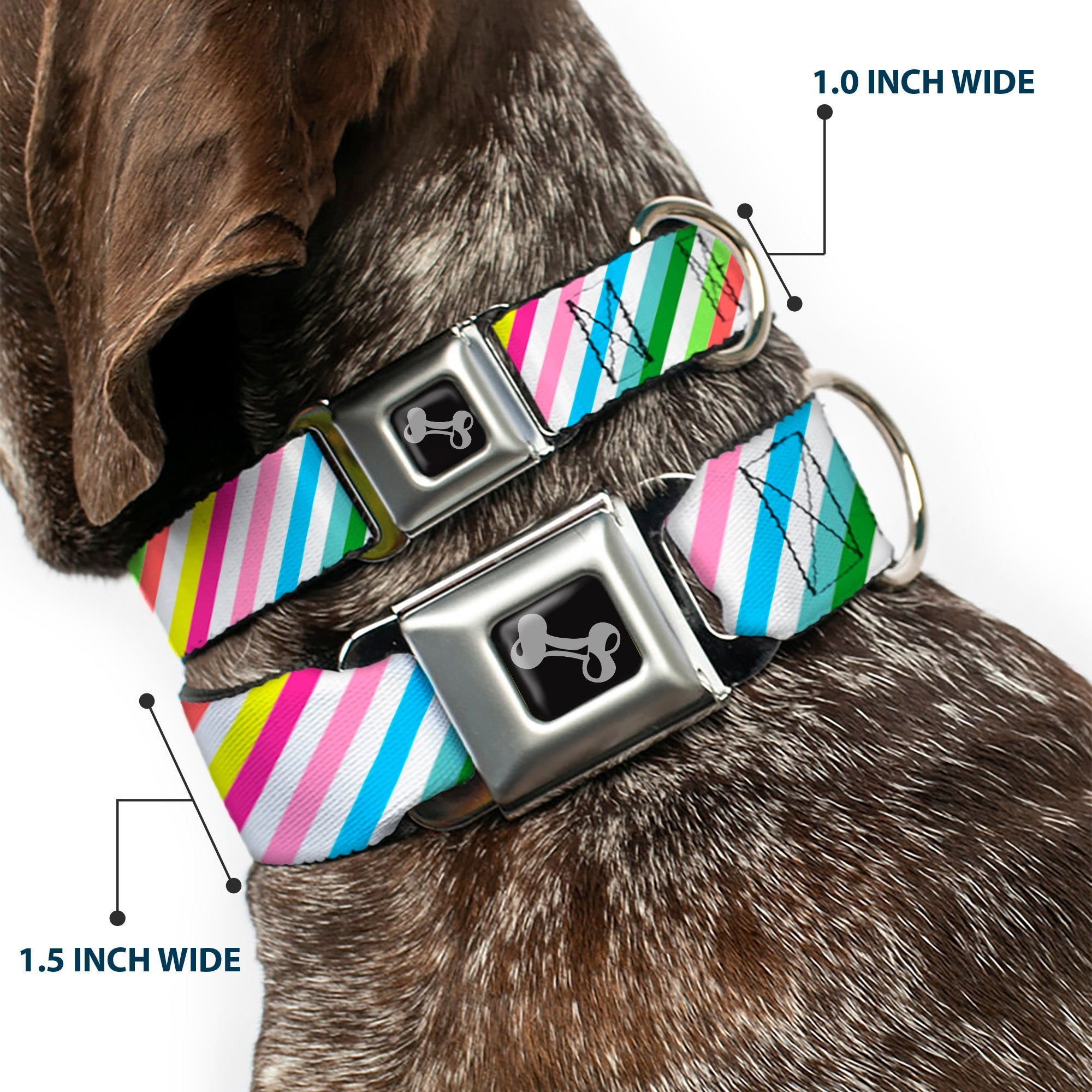 Southlake Paws Dog Bone Seatbelt Buckle Collar features diagonal stripes in white and multi-color, measuring 1.0 inch wide.