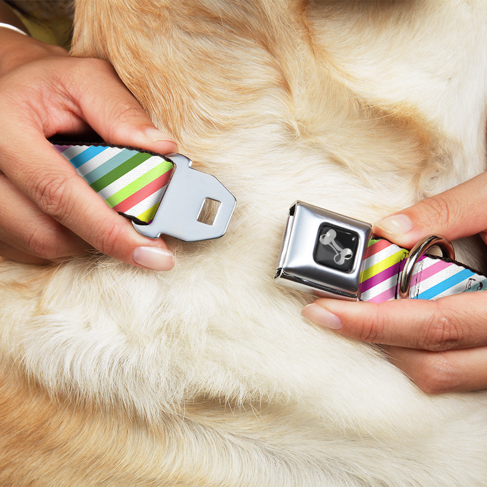 Southlake Paws Dog Bone Seatbelt Buckle Collar features diagonal stripes in white and multi-color, shown being fastened on a 