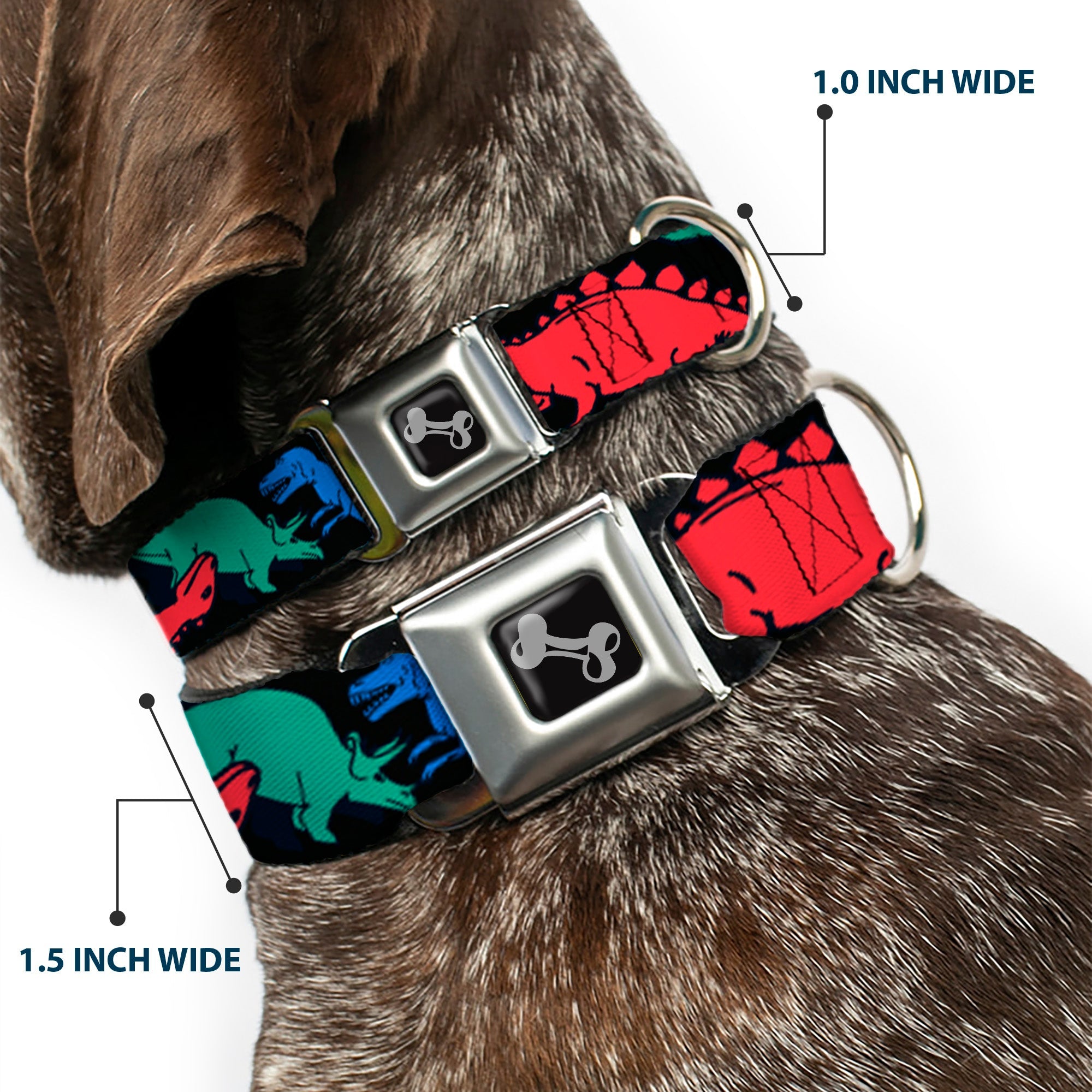 Dog Bone Seatbelt Buckle Collar - Dinosaurs Black/Multi Color