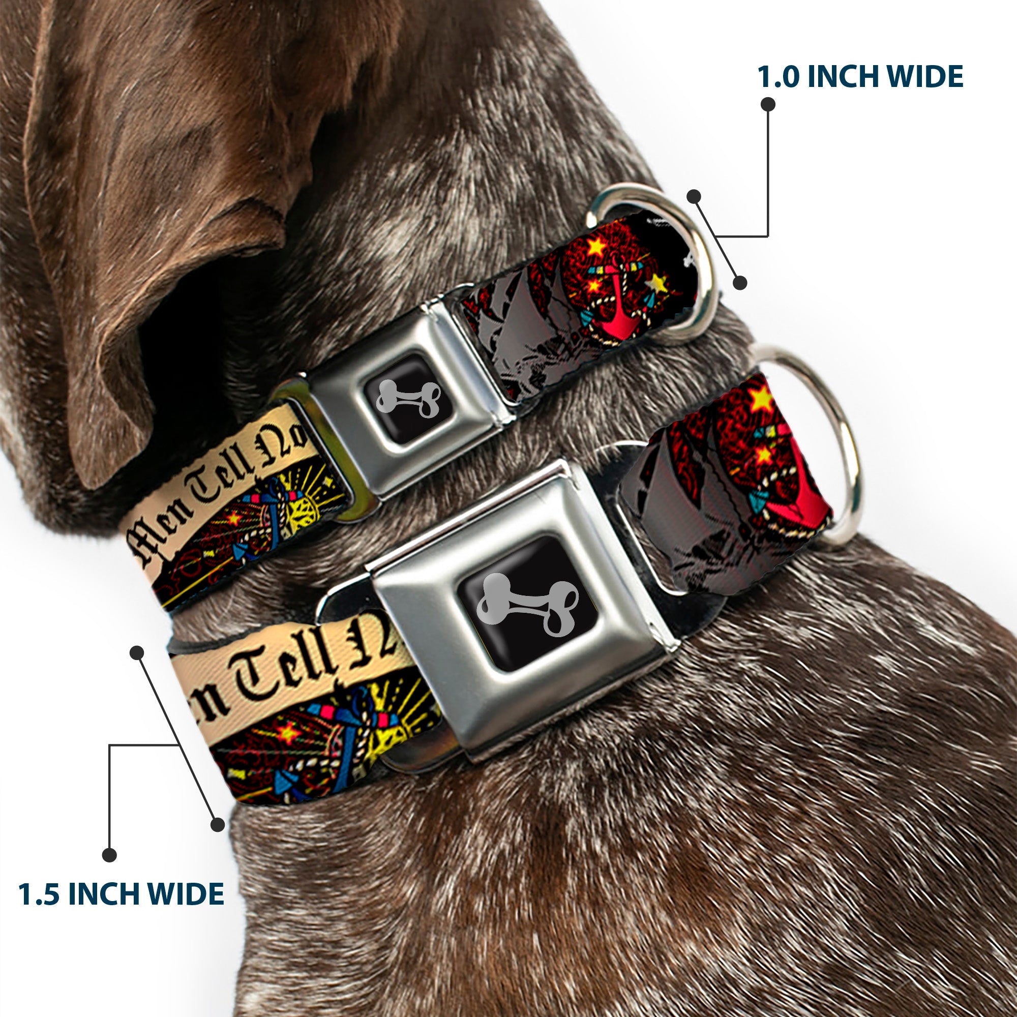 Dog Bone Seatbelt Buckle Collar - Dead Men Tell No Tales Black