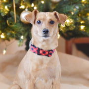 Dog Bone Seatbelt Buckle Collar - Diagonal Buffalo Plaid Black/Red