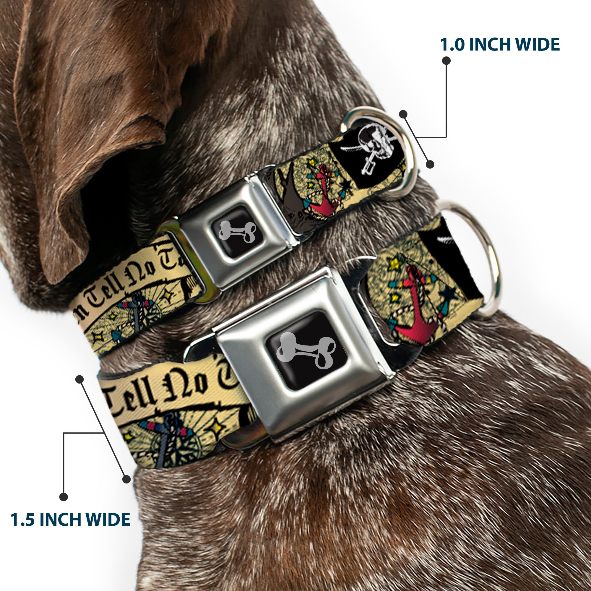 Dog Bone Seatbelt Buckle Collar - Dead Men Tell No Tales CLOSE-UP Tan