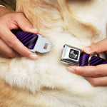 Dog Bone Seatbelt Buckle Collar - Diagonal Stripes Black/Purple