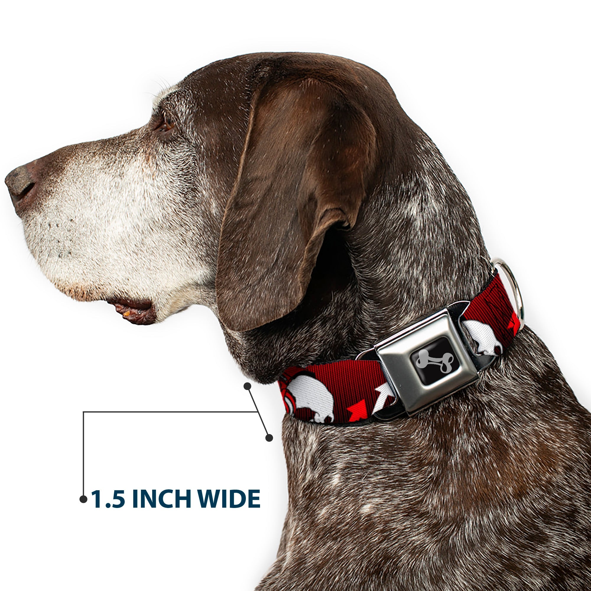 Dog Bone Seatbelt Buckle Collar - DJ Skulls Up/Down Black/Red