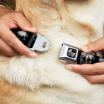 Dog Bone Seatbelt Buckle Collar - Dark Knight