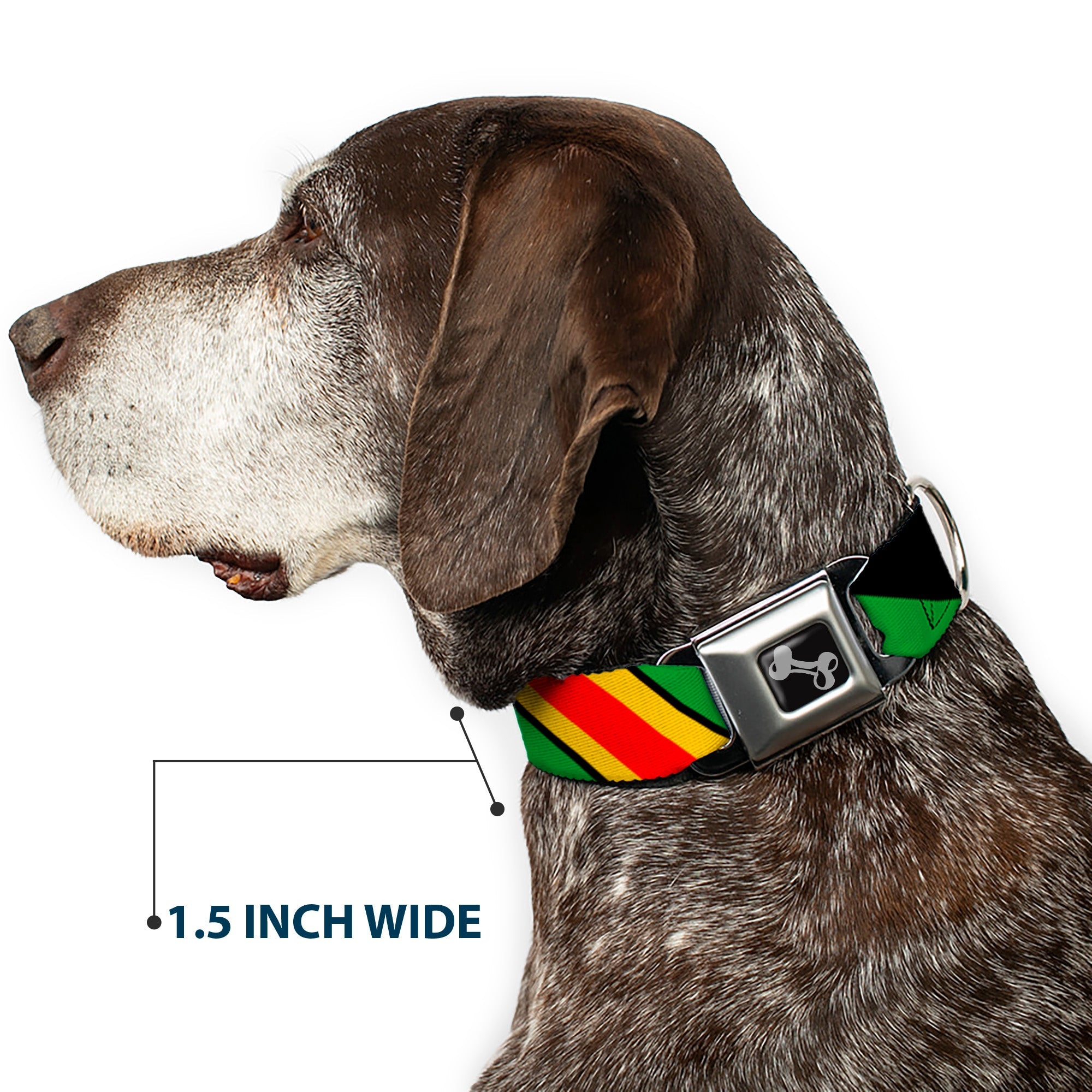 Dog Bone Seatbelt Buckle Collar - Diagonal Stripes Black/Green/Yellow/Red