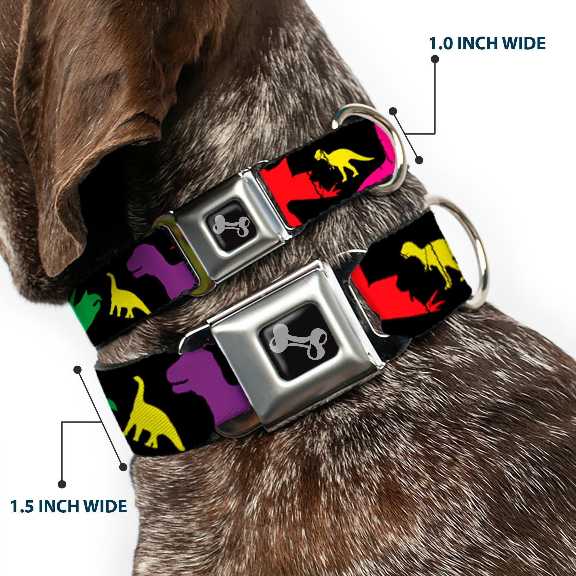 Dog Bone Seatbelt Buckle Collar - Dinosaur Silhouette Black/Multi Color