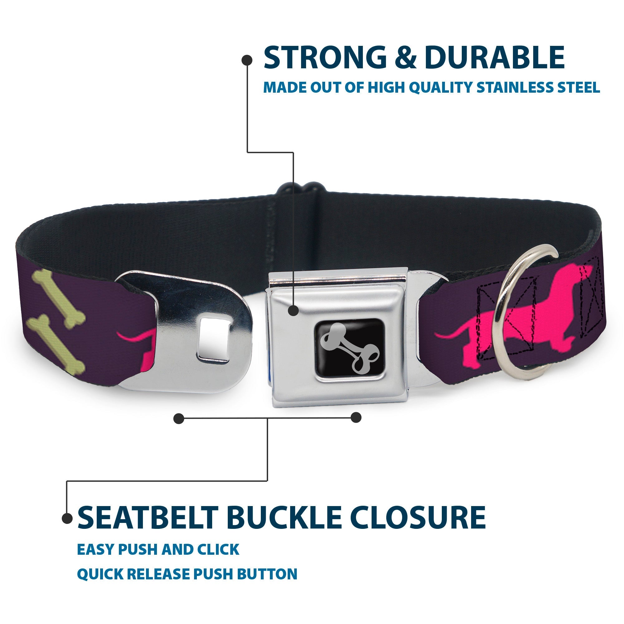 Dog Bone Seatbelt Buckle Collar - Dachshunds & Bones Purple/Fuchsia/Green