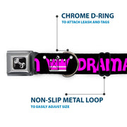 Dog Bone Seatbelt Buckle Collar - DRAMA QUEEN Black/Fuchsia