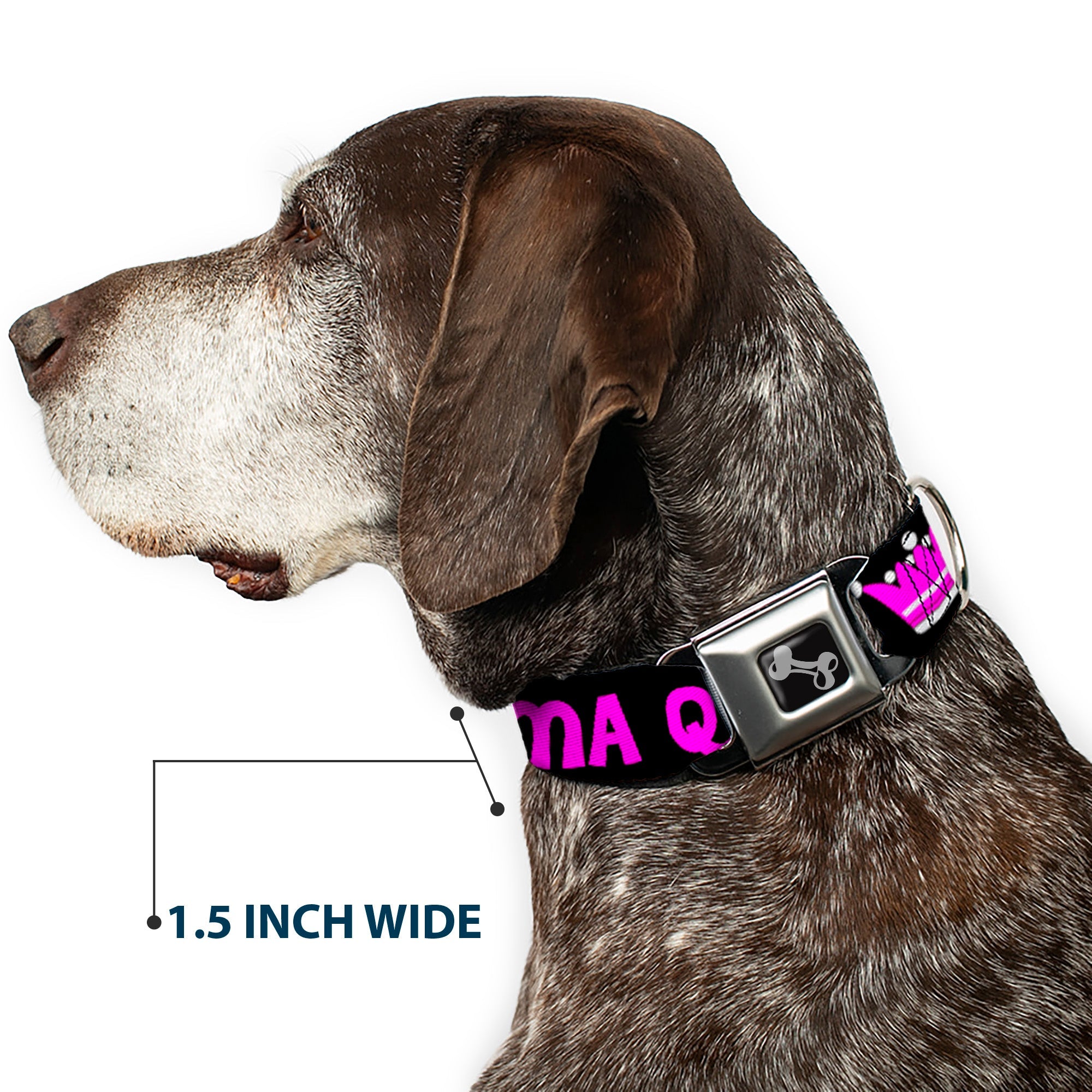 Dog Bone Seatbelt Buckle Collar - DRAMA QUEEN Black/Fuchsia