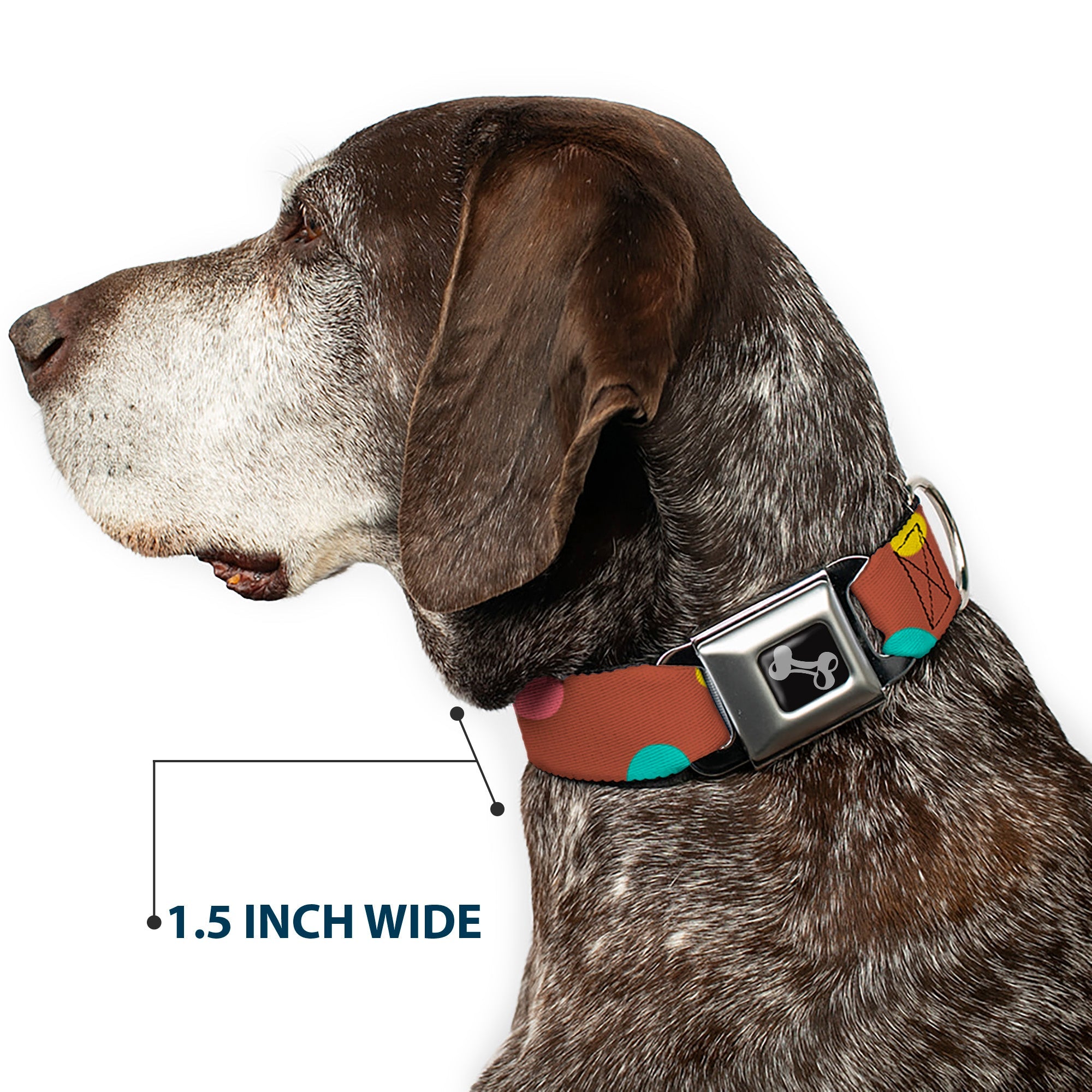 Dog Bone Seatbelt Buckle Collar - Dots Brown/Multi Pastel