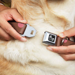 Dog Bone Seatbelt Buckle Collar - Dots Brown/Multi Pastel