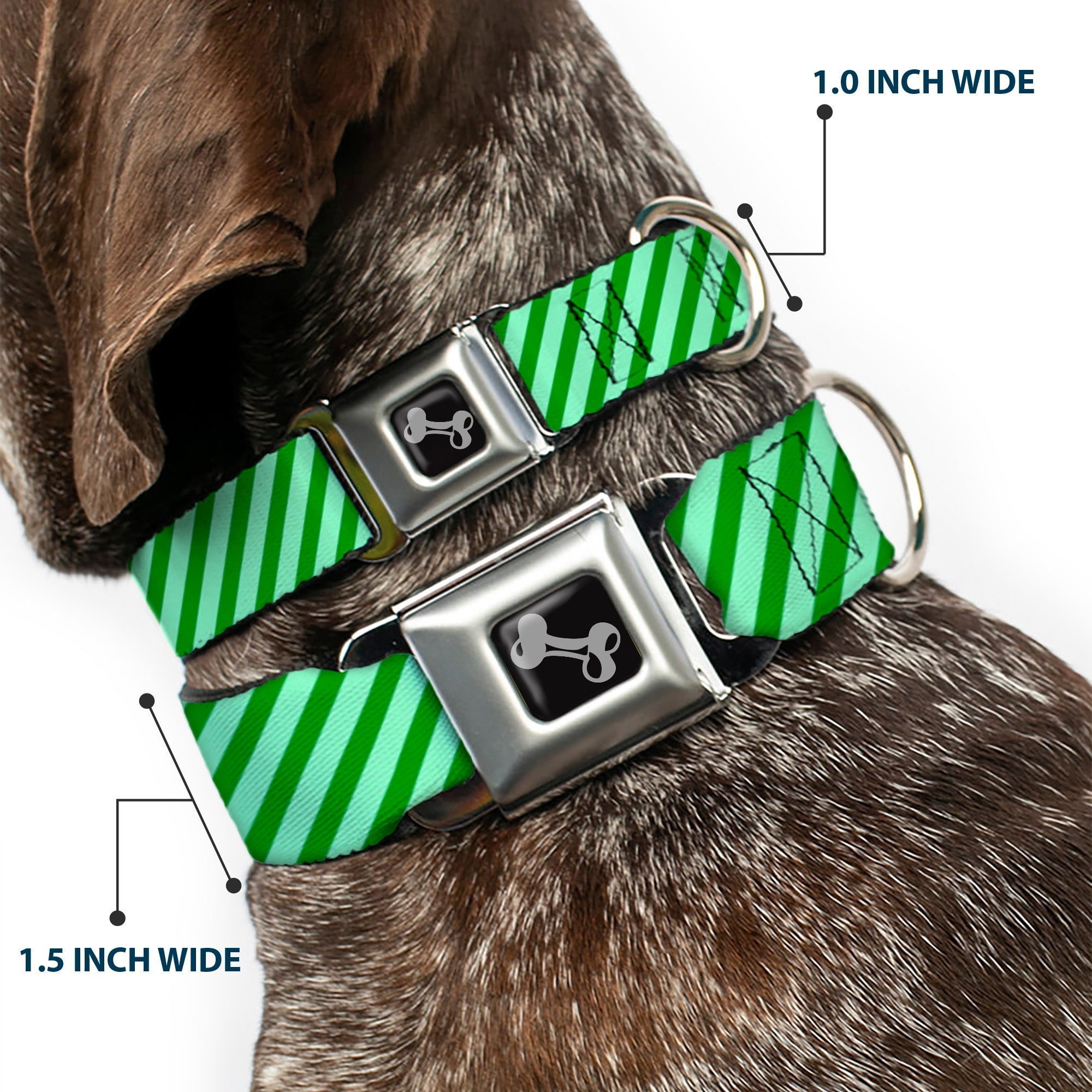 Dog Bone Seatbelt Buckle Collar - Diagonal Stripes Pastel Greens