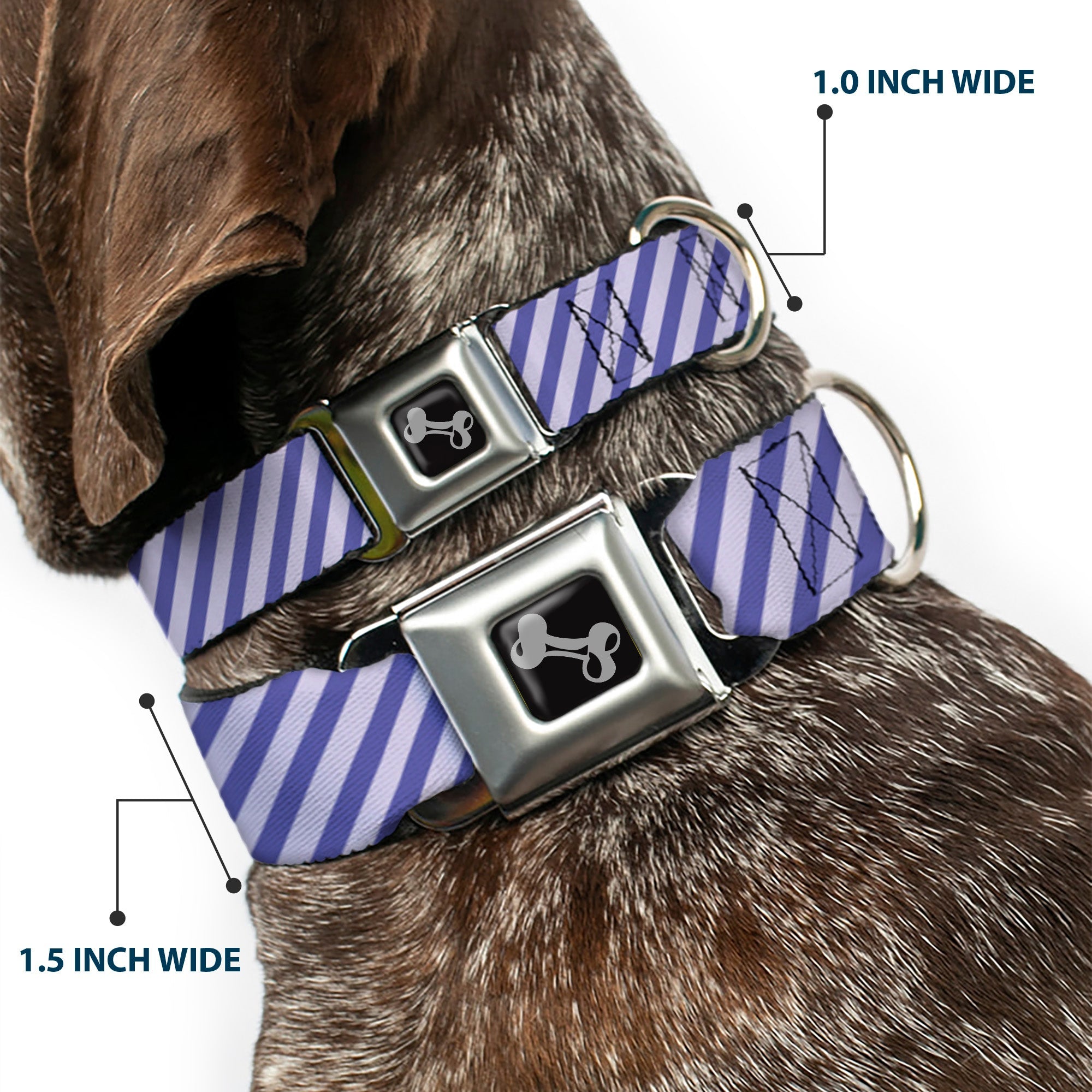 Dog Bone Seatbelt Buckle Collar - Diagonal Stripes Pastel Blues