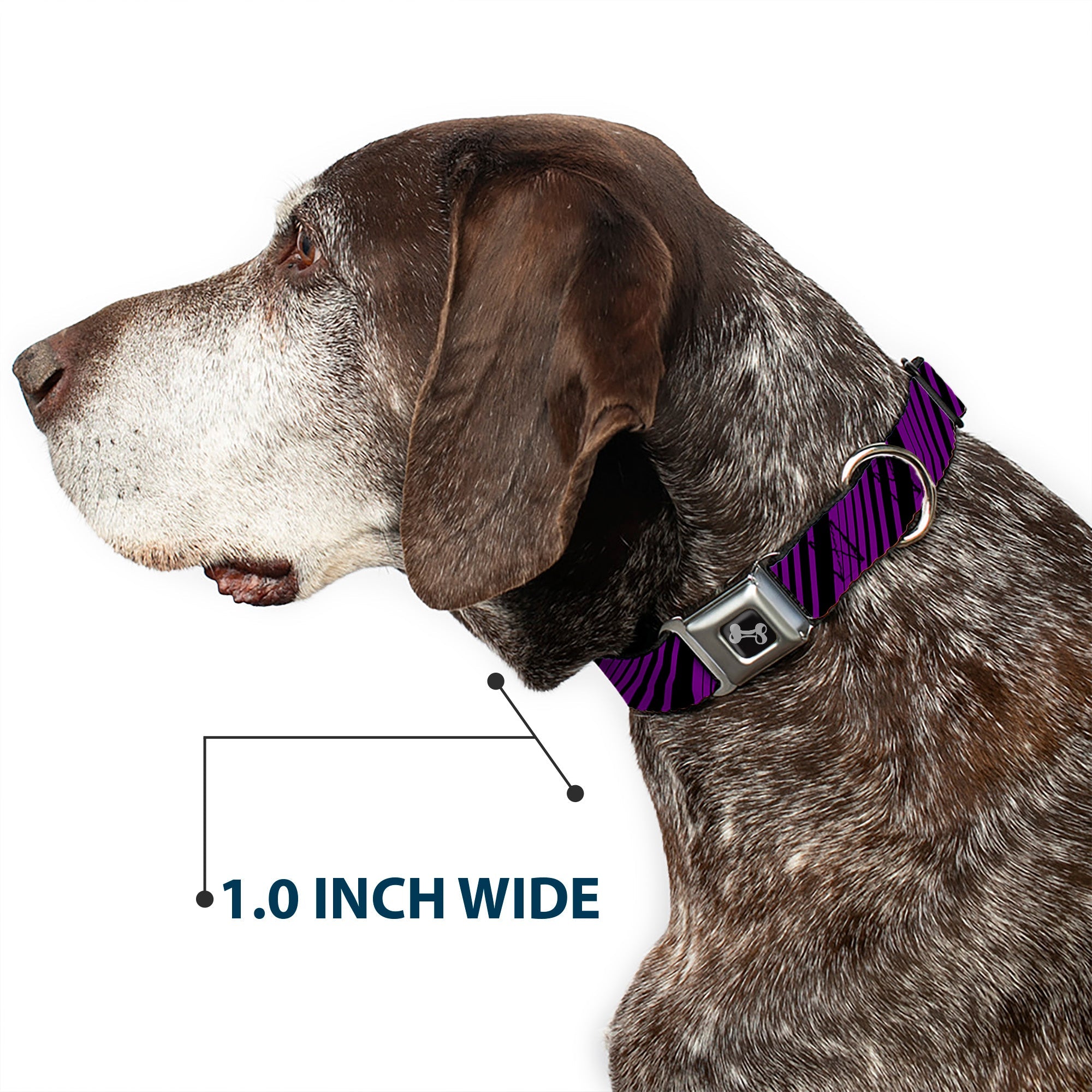 Dog Bone Seatbelt Buckle Collar - Diagonal Stripes Purples