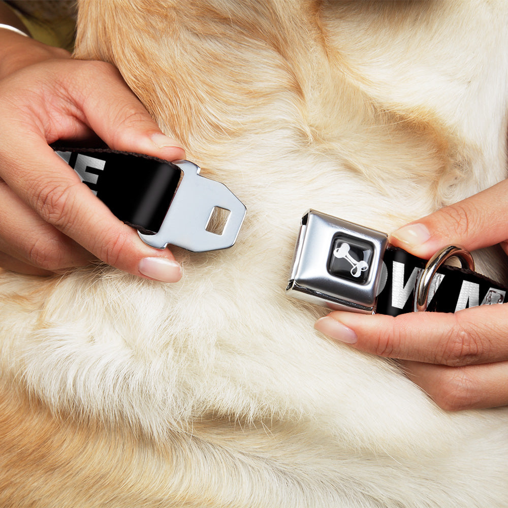 Dog Bone Seatbelt Buckle Collar - DON'T BRO ME IF YOU DON'T KNOW ME Black/White/Red