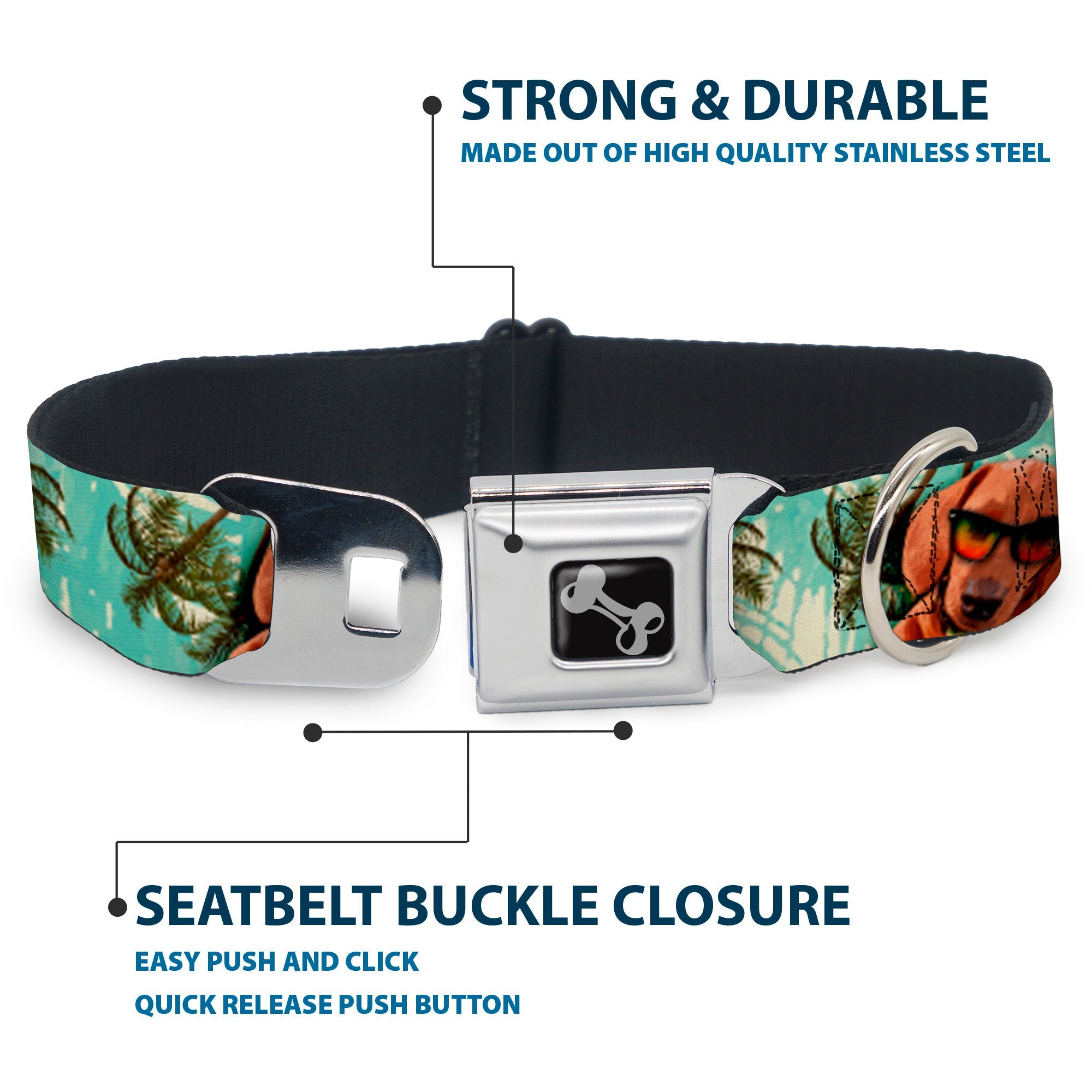 Dog Bone Seatbelt Buckle Collar - Dachshund in Shades w/Palm Trees