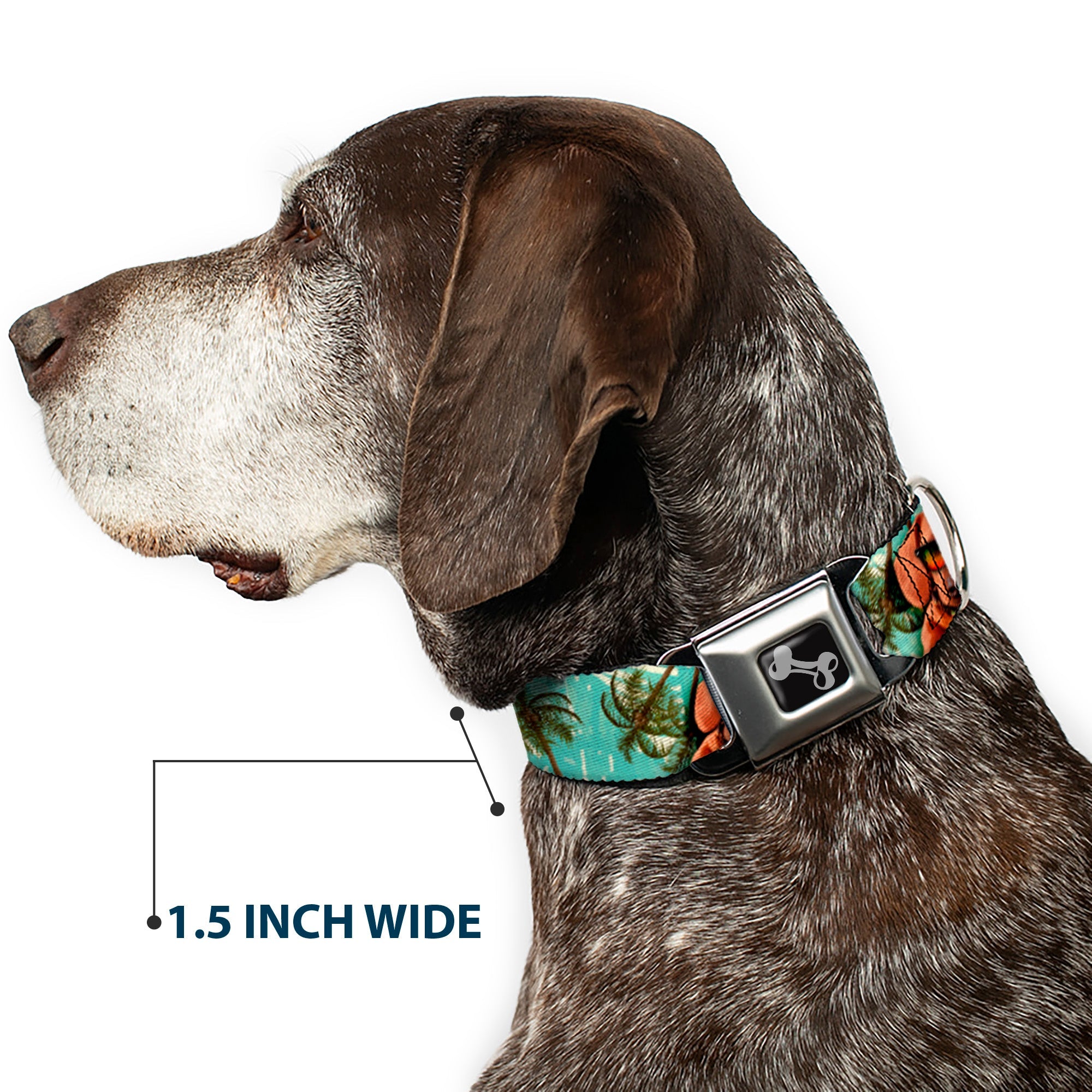 Dog Bone Seatbelt Buckle Collar - Dachshund in Shades w/Palm Trees