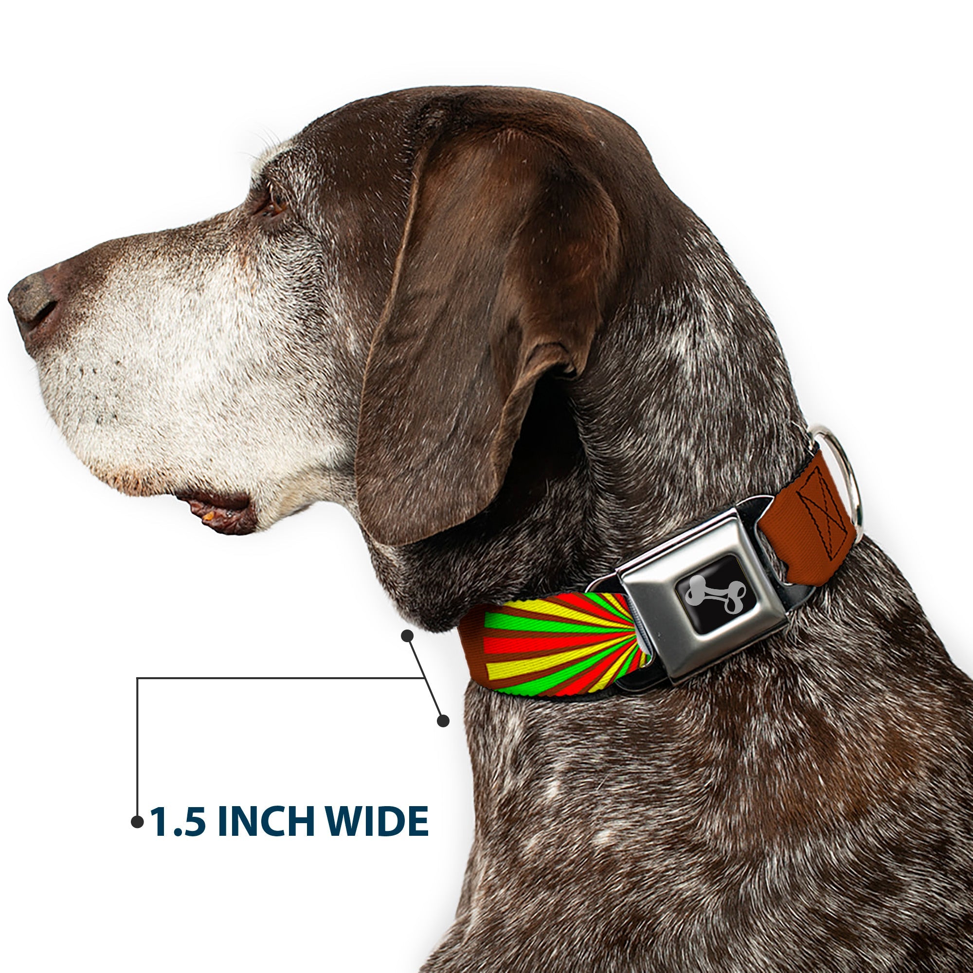 Dog Bone Seatbelt Buckle Collar - EAT SLEEP SKATE Brown/Rasta Burst