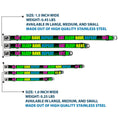 Load image into Gallery viewer, Buckle-Down Seatbelt Buckle Dog Collar - EAT SLEEP RAVE REPEAT Black/Multi Neon

