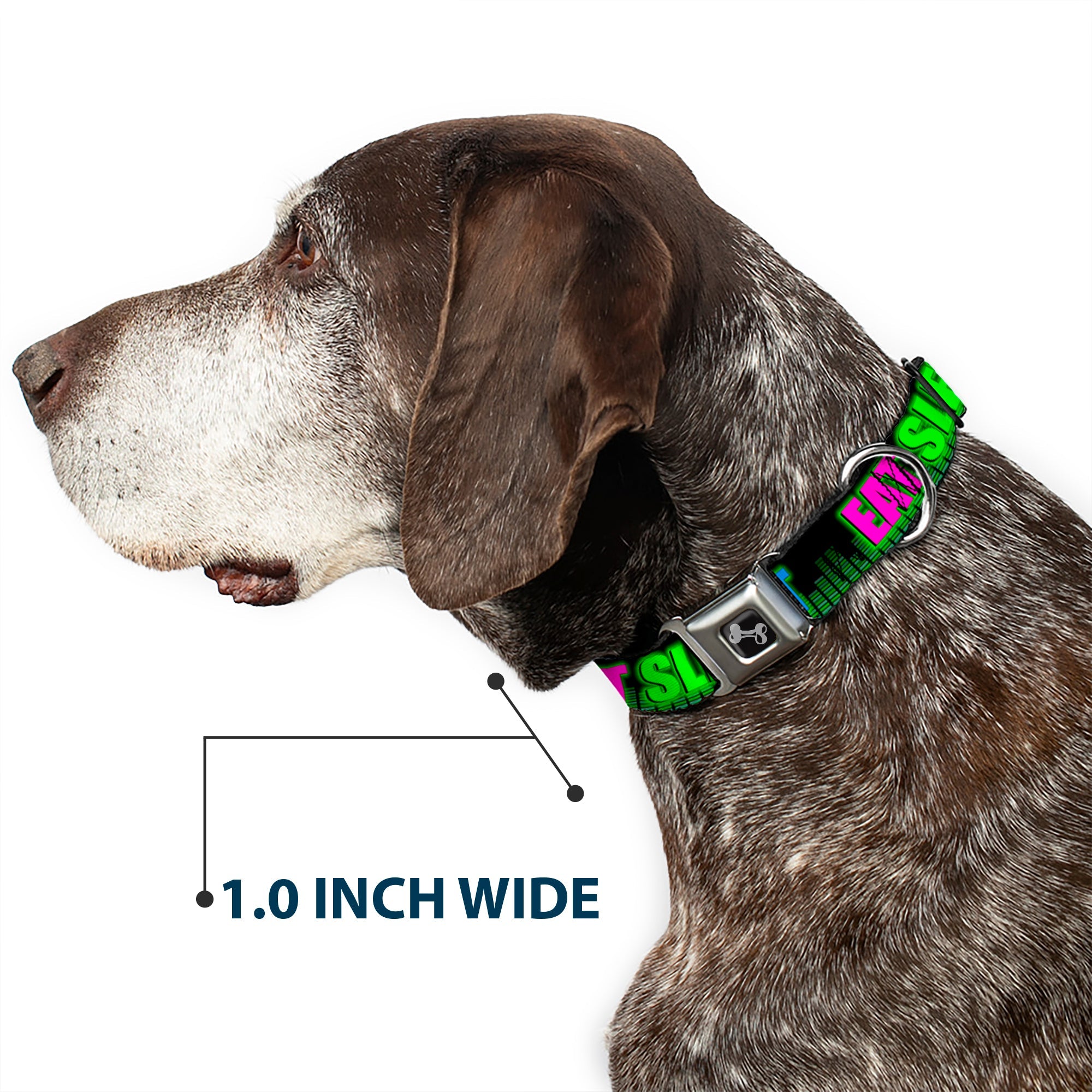 Buckle-Down Seatbelt Buckle Dog Collar - EAT SLEEP RAVE REPEAT Black/Multi Neon