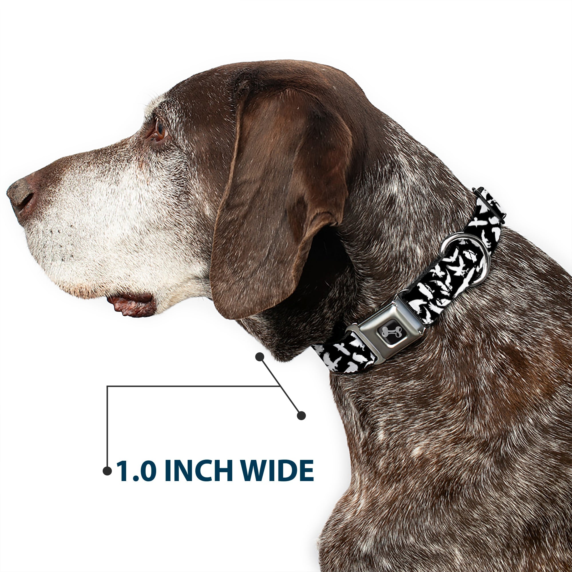 Dog Bone Seatbelt Buckle Collar - Eagle Silhouettes Scattered Black/White