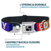 Dog Bone Black/Silver Seatbelt Buckle Collar - EQUALITY Blocks Rainbow/Blue/White
