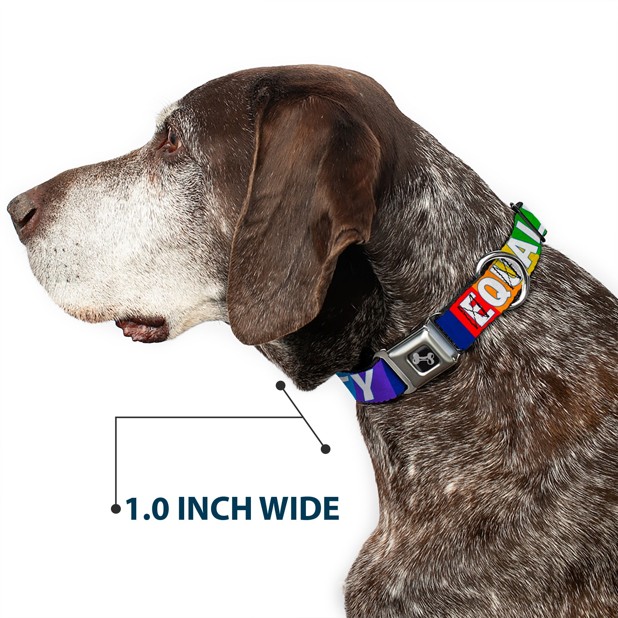 Dog Bone Black/Silver Seatbelt Buckle Collar - EQUALITY Blocks Rainbow/Blue/White