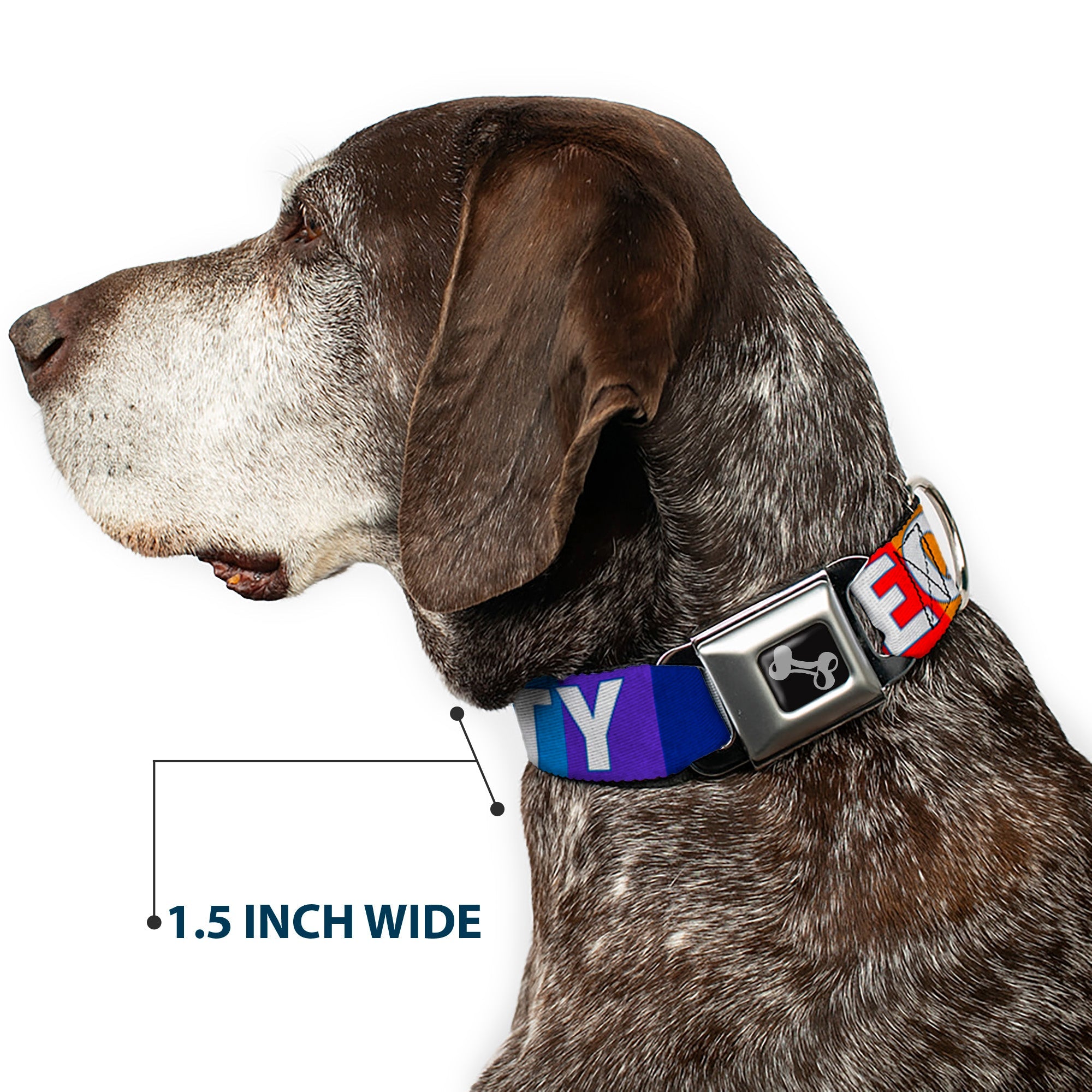 Dog Bone Black/Silver Seatbelt Buckle Collar - EQUALITY Blocks Rainbow/Blue/White