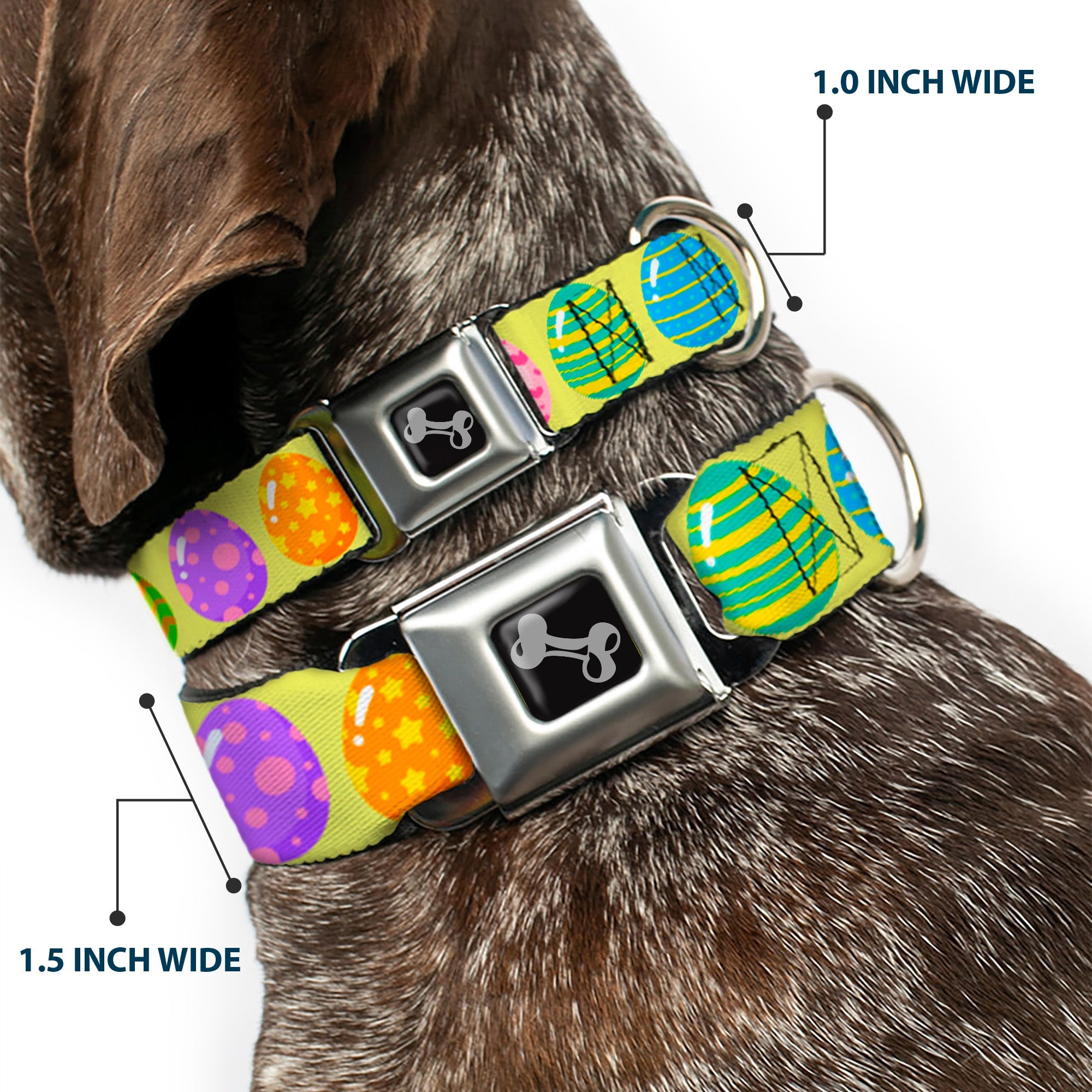 Dog Bone Black/Silver Seatbelt Buckle Collar - Easter Eggs Decorated Eggs Yellow/Multi Color