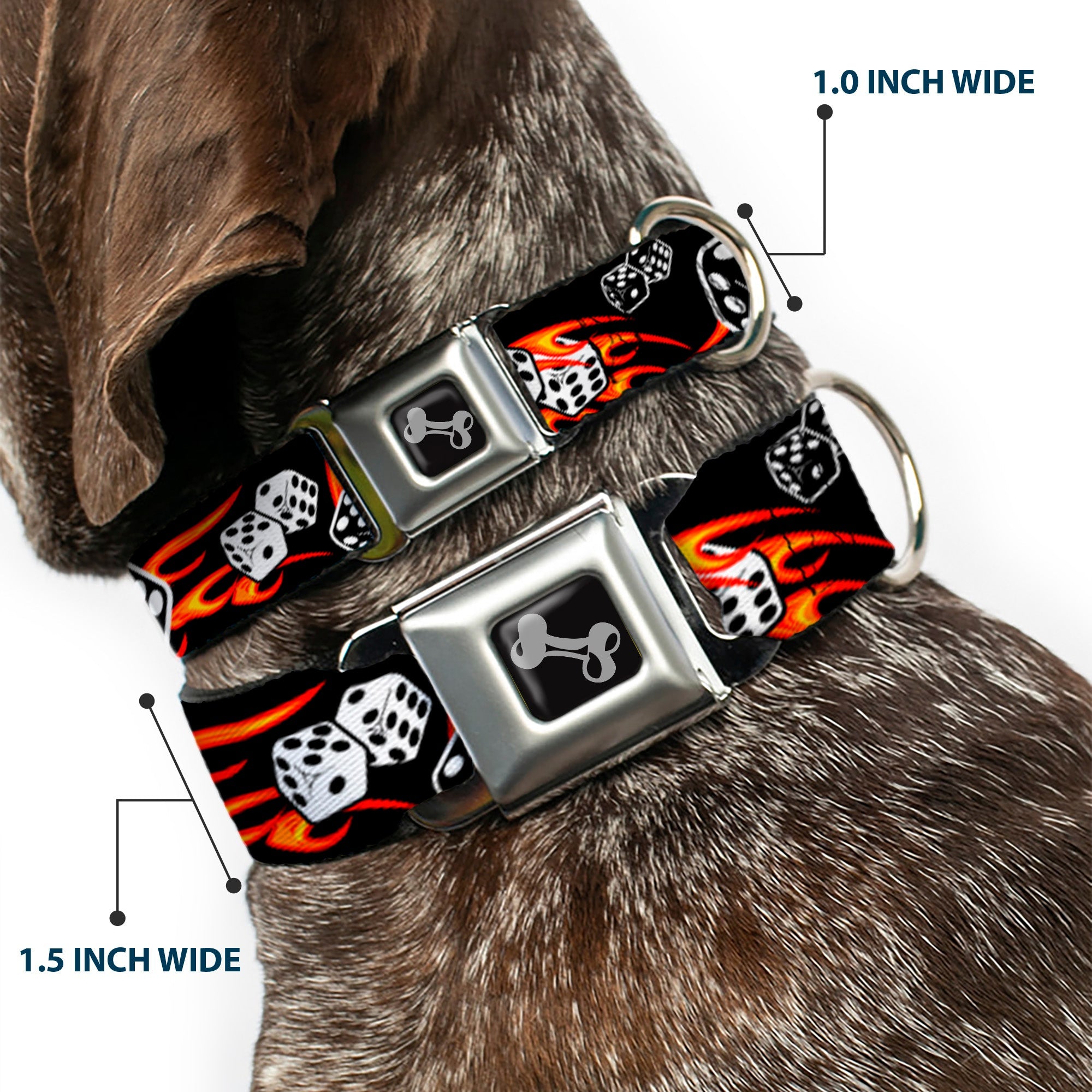 Dog Bone Seatbelt Buckle Collar - Flaming Dice