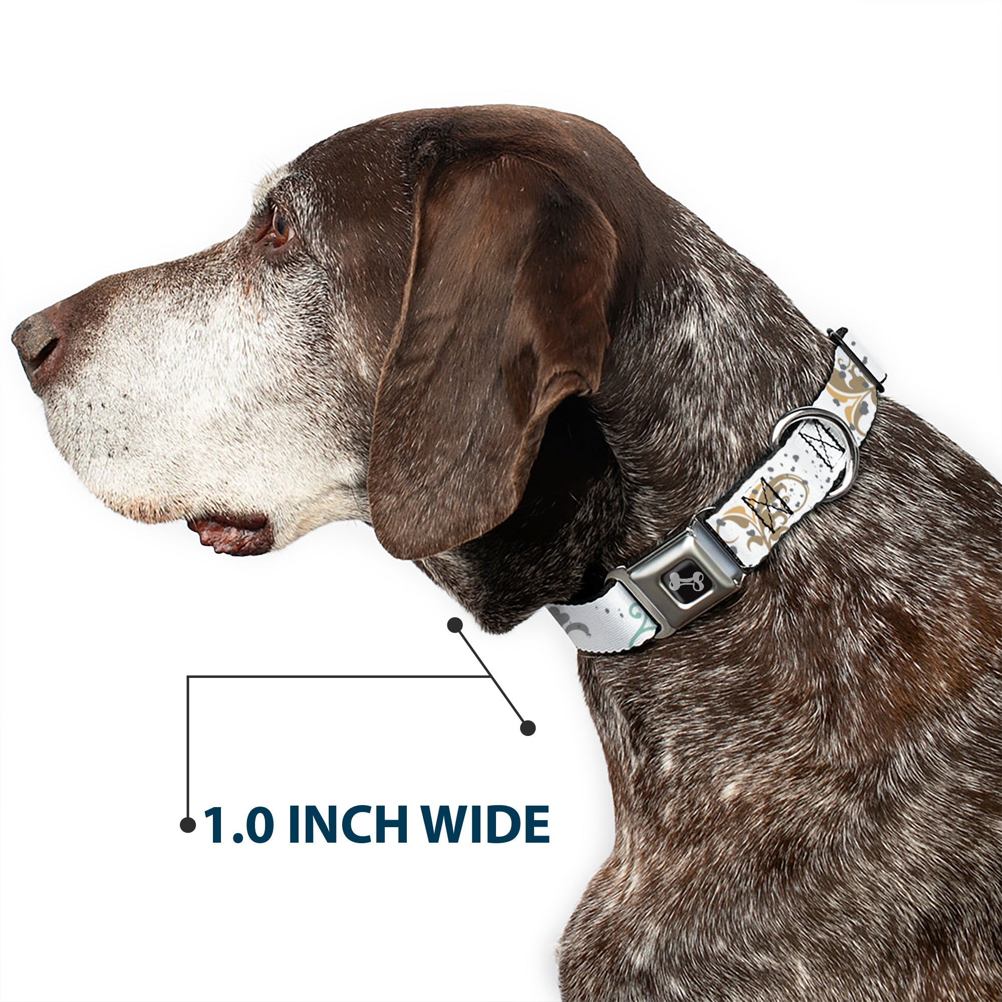 Dog Bone Seatbelt Buckle Collar - Flower Splatter White/Gray