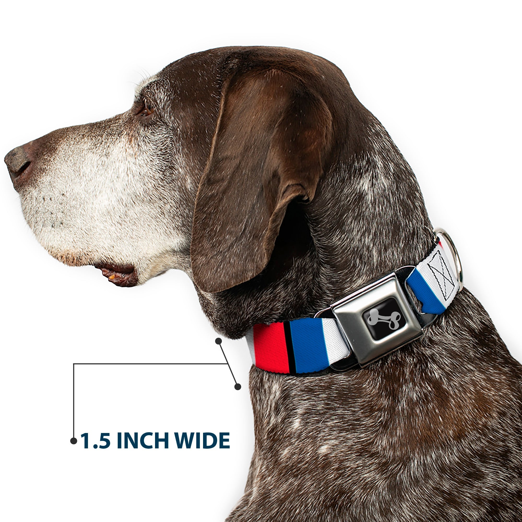 Dog Bone Seatbelt Buckle Collar - France Flags
