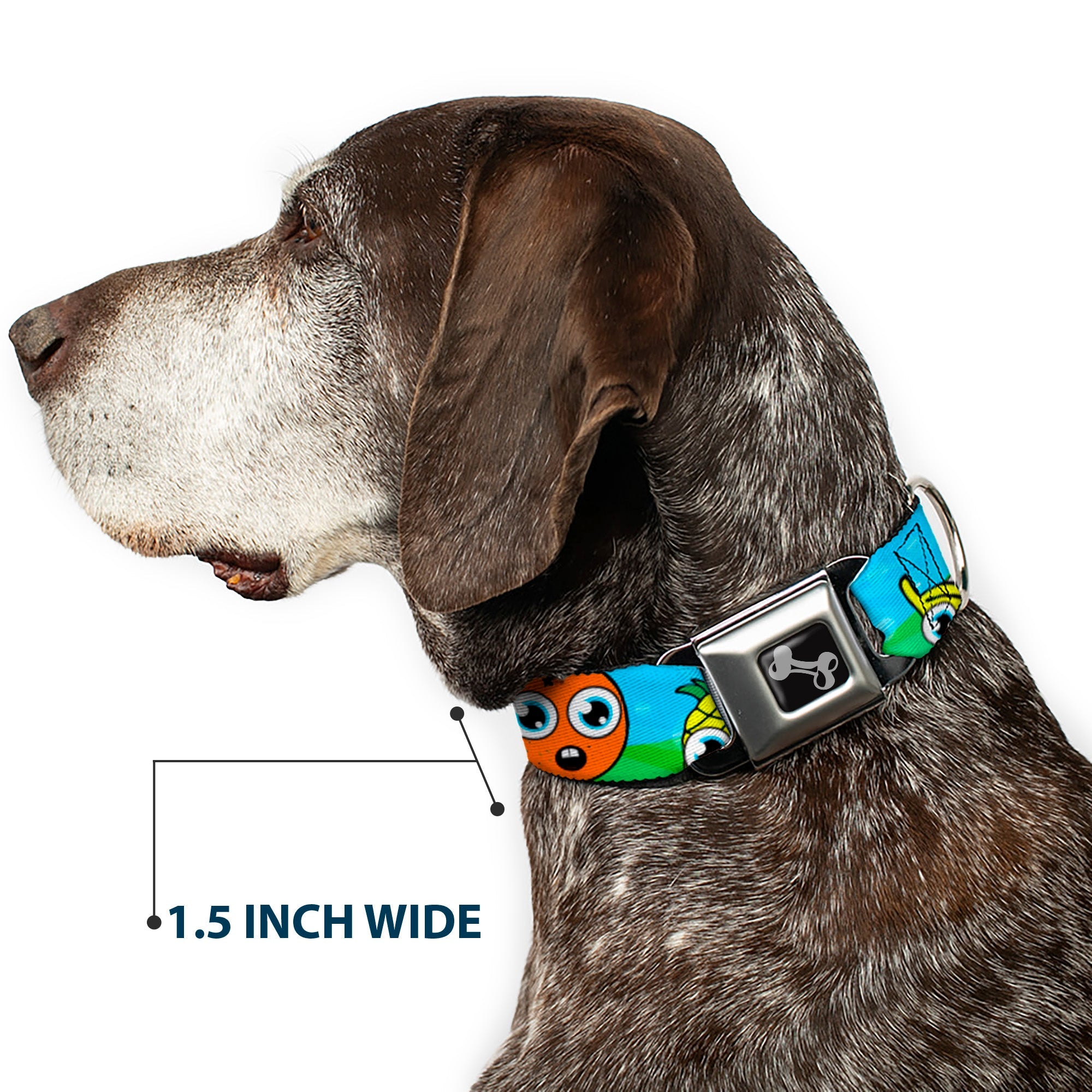 Dog Bone Seatbelt Buckle Collar - Fruit Cartoon
