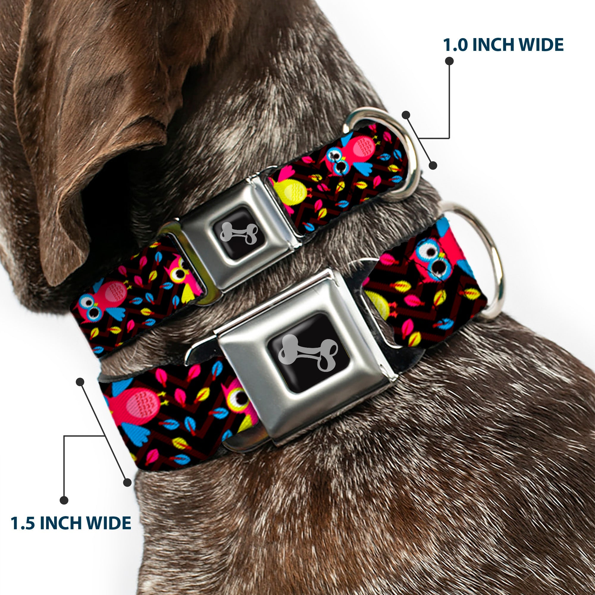 Dog Bone Seatbelt Buckle Collar - Flying Owls w/Leaves Black/Multi Color