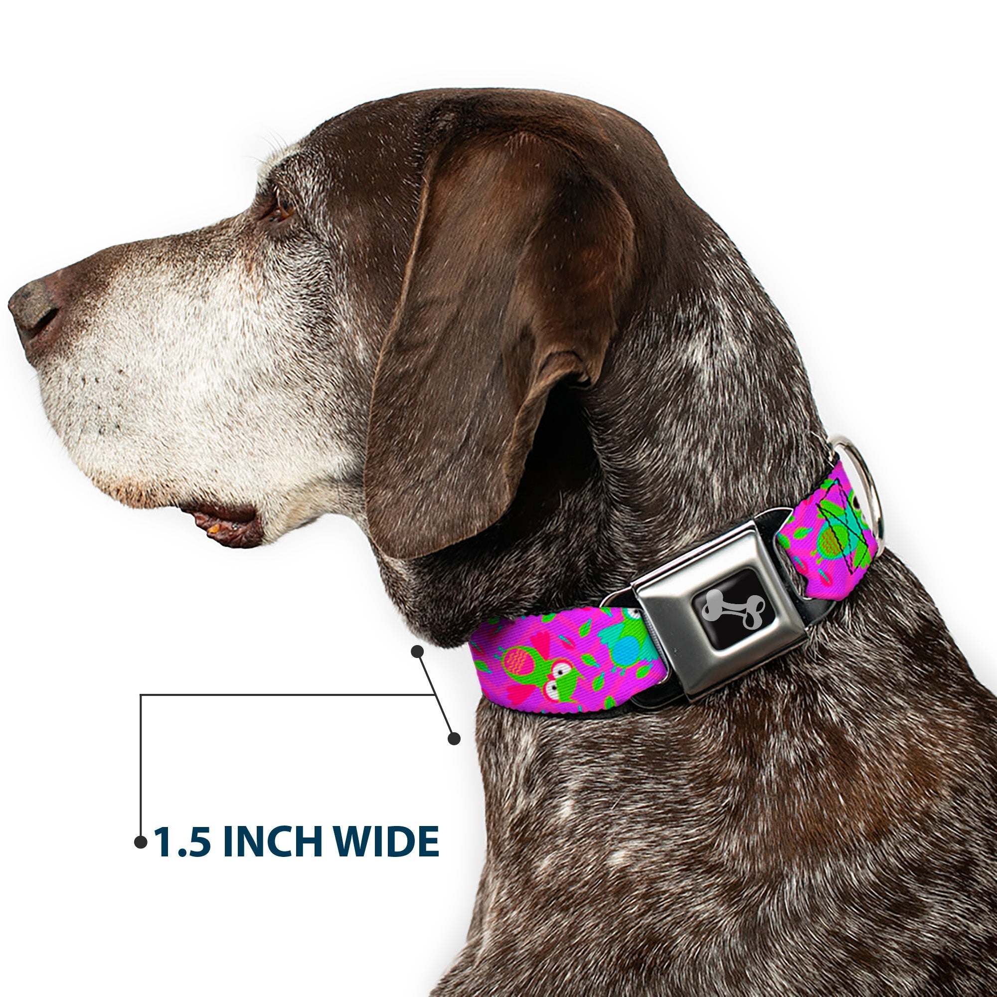 Dog Bone Seatbelt Buckle Collar - Flying Owls w/Leaves Purple/Multi Color