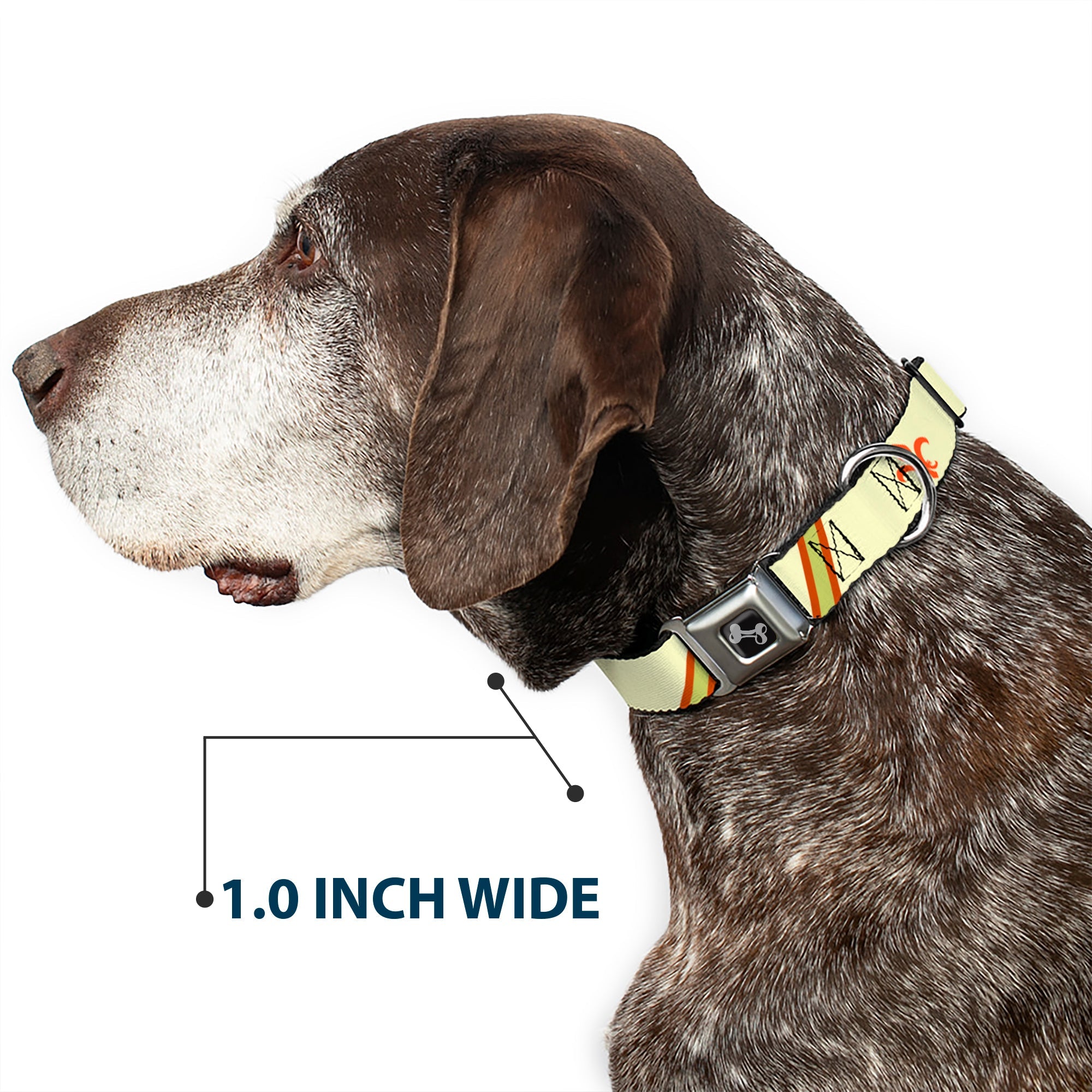 Dog Bone Seatbelt Buckle Collar - Fleur-de-Lis2 Stripes Tan/Orange/Brown/Green