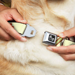 Dog Bone Seatbelt Buckle Collar - Fleur-de-Lis2 Stripes Tan/Orange/Brown/Green