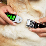 Buckle-Down Seatbelt Buckle Dog Collar - FML Black/Yellow/Green/Purple