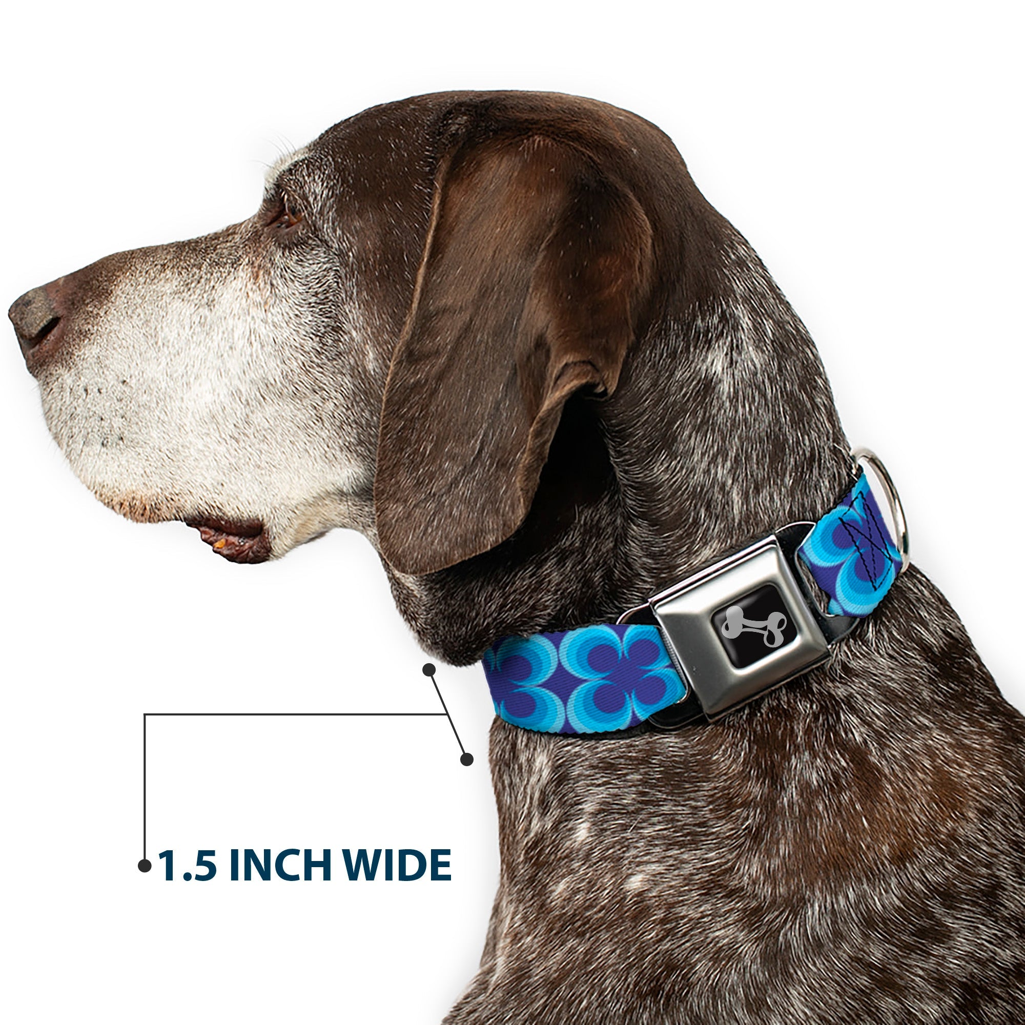 Dog Bone Seatbelt Buckle Collar - Four Dot Gradient Royal/Blues