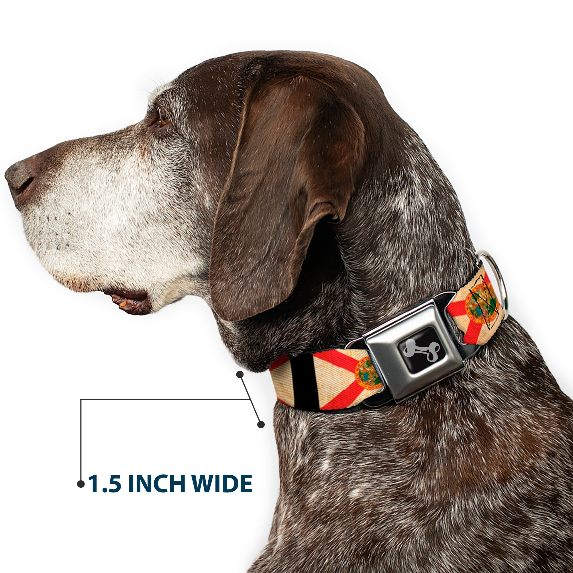 Dog Bone Seatbelt Buckle Collar - Florida Flags/Black
