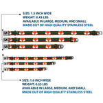 Dog Bone Seatbelt Buckle Collar - Fox Face/Stripes Black/Multi Color