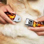Dog Bone Seatbelt Buckle Collar - Flames Vivid Black/Orange