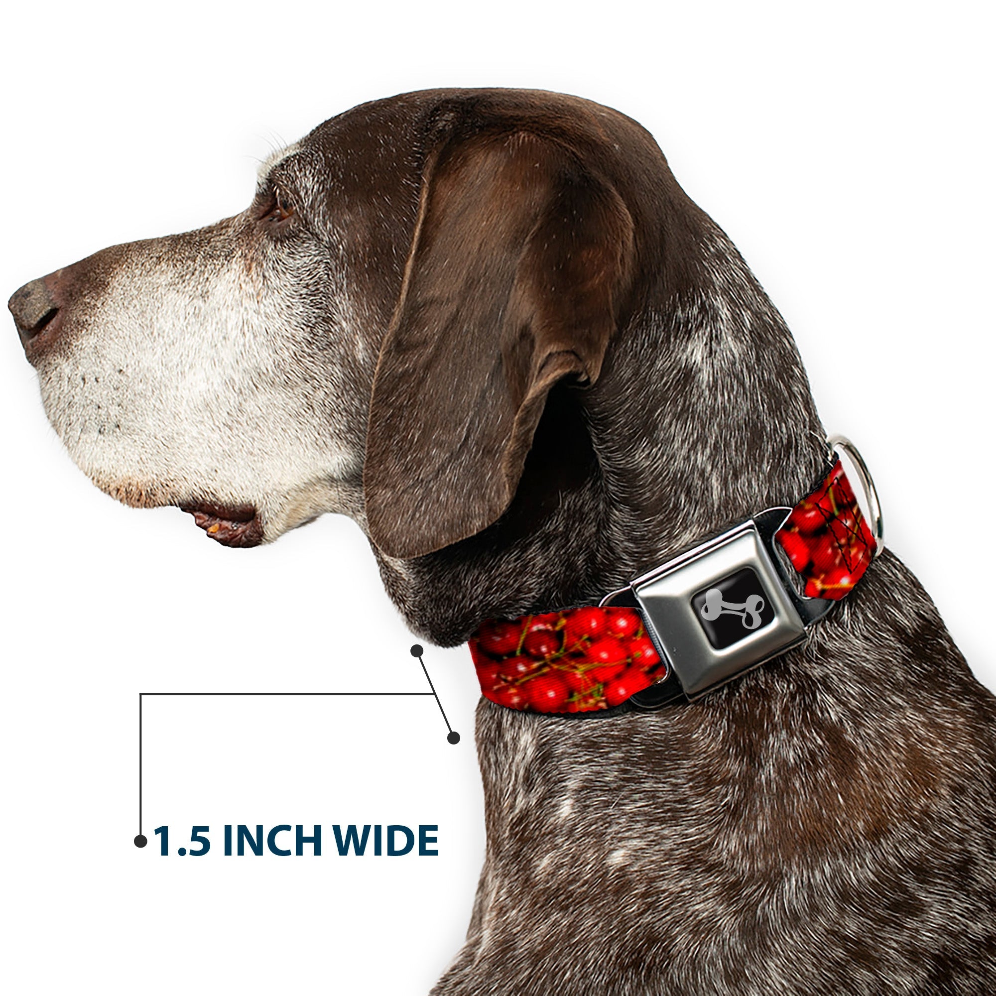 Dog Bone Seatbelt Buckle Collar - Fresh Cherries Stacked