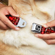 Dog Bone Seatbelt Buckle Collar - Fresh Cherries Stacked