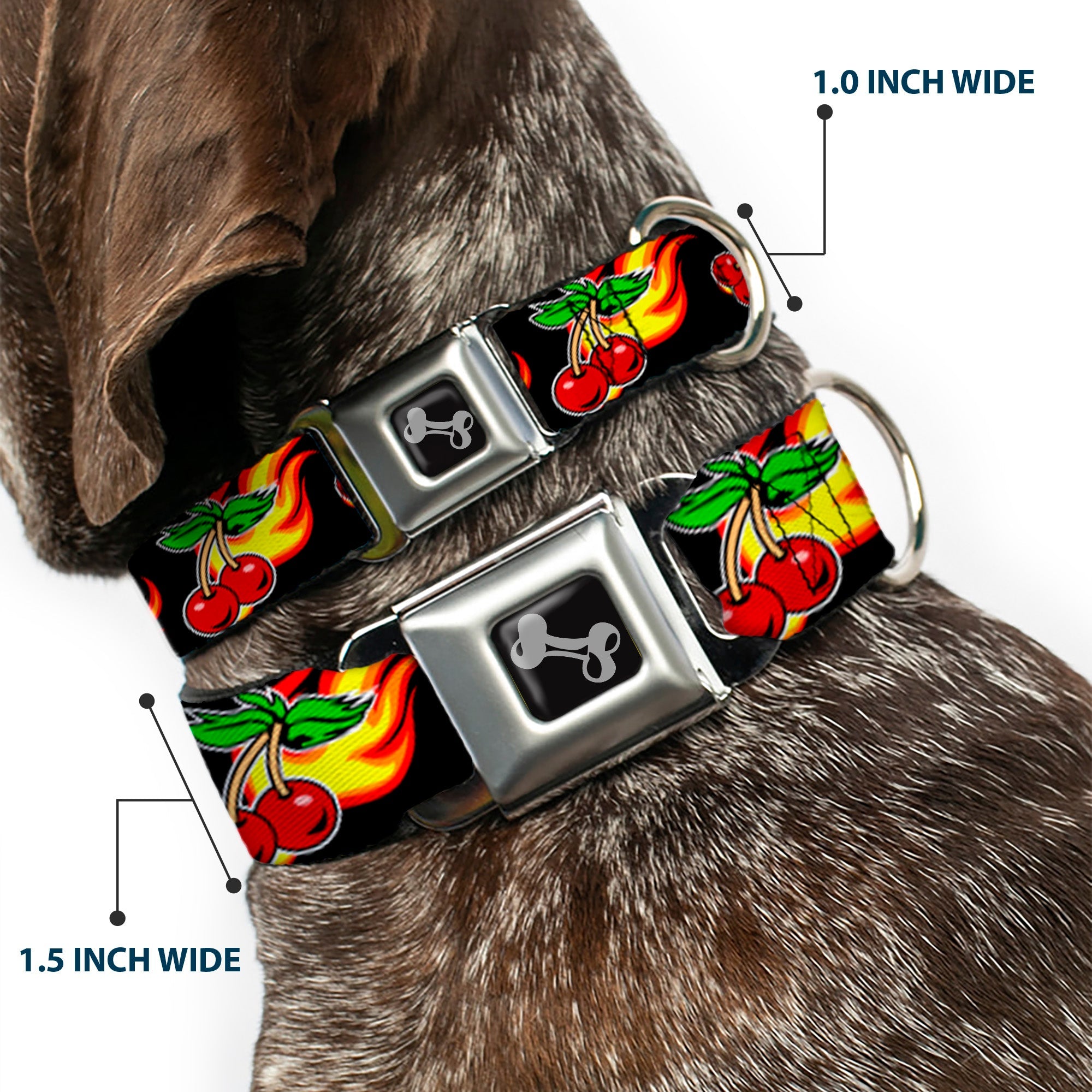 Dog Bone Seatbelt Buckle Collar - Flaming Cherries Scattered Black