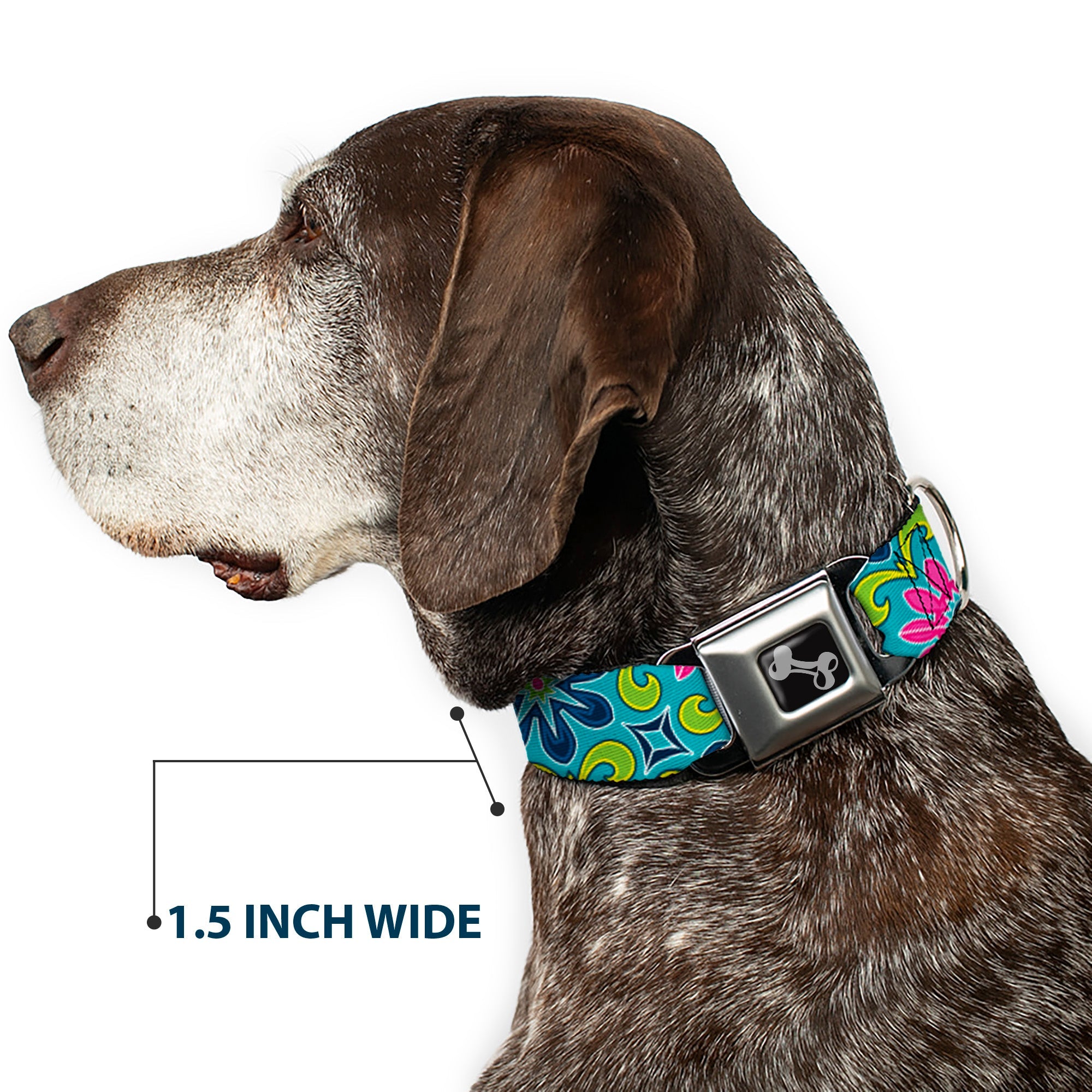 Dog Bone Seatbelt Buckle Collar - Floral Burst Turquoise/Blues/Pinks/Yellow/Green
