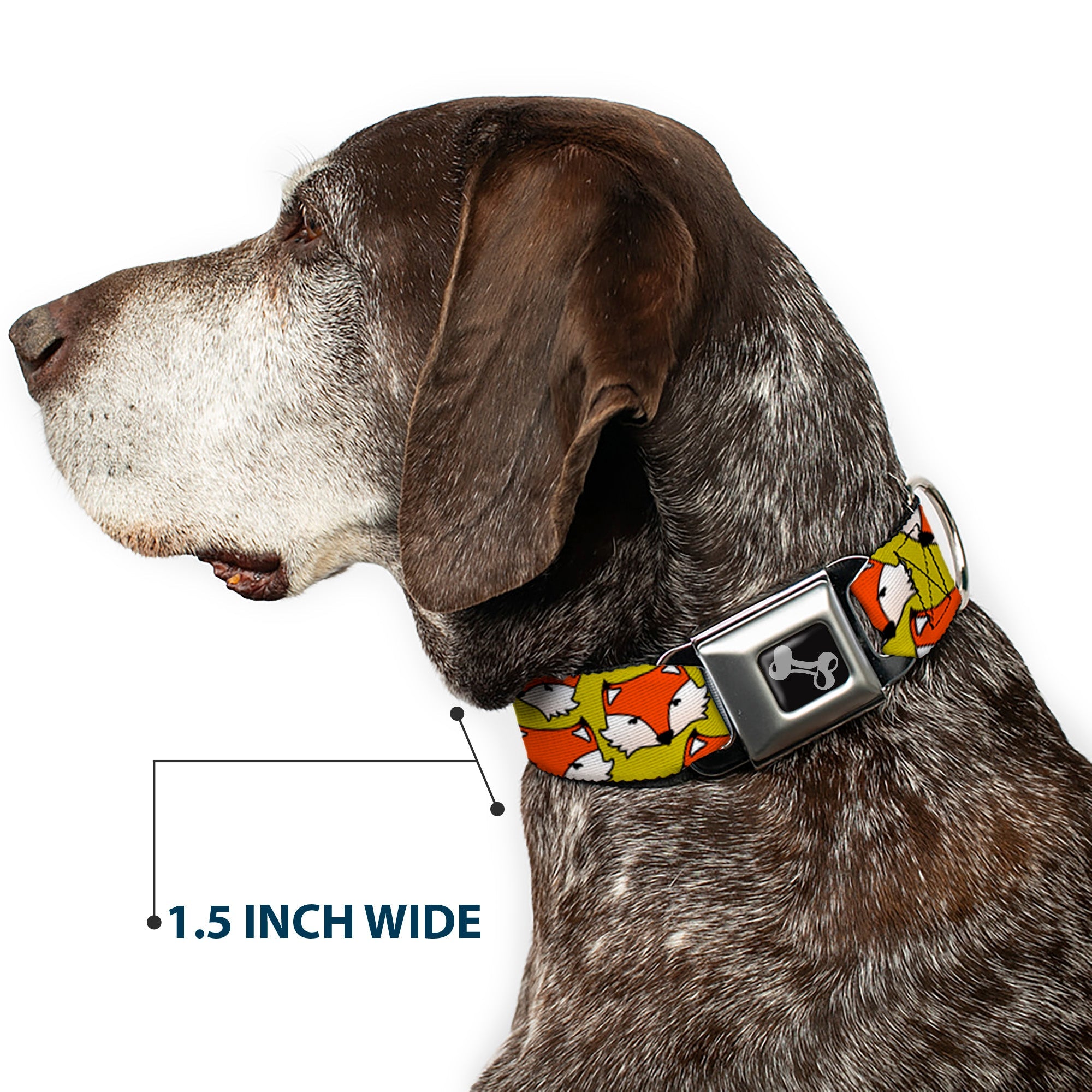 Dog Bone Seatbelt Buckle Collar - Fox Face Scattered Warm Olive2