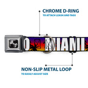 Dog Bone Seatbelt Buckle Collar - Florida Cities Palm Tree Sunset/White