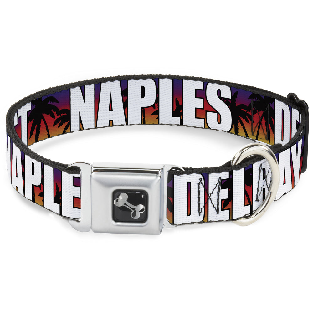 Dog Bone Seatbelt Buckle Collar - Florida Cities Palm Tree Sunset/White
